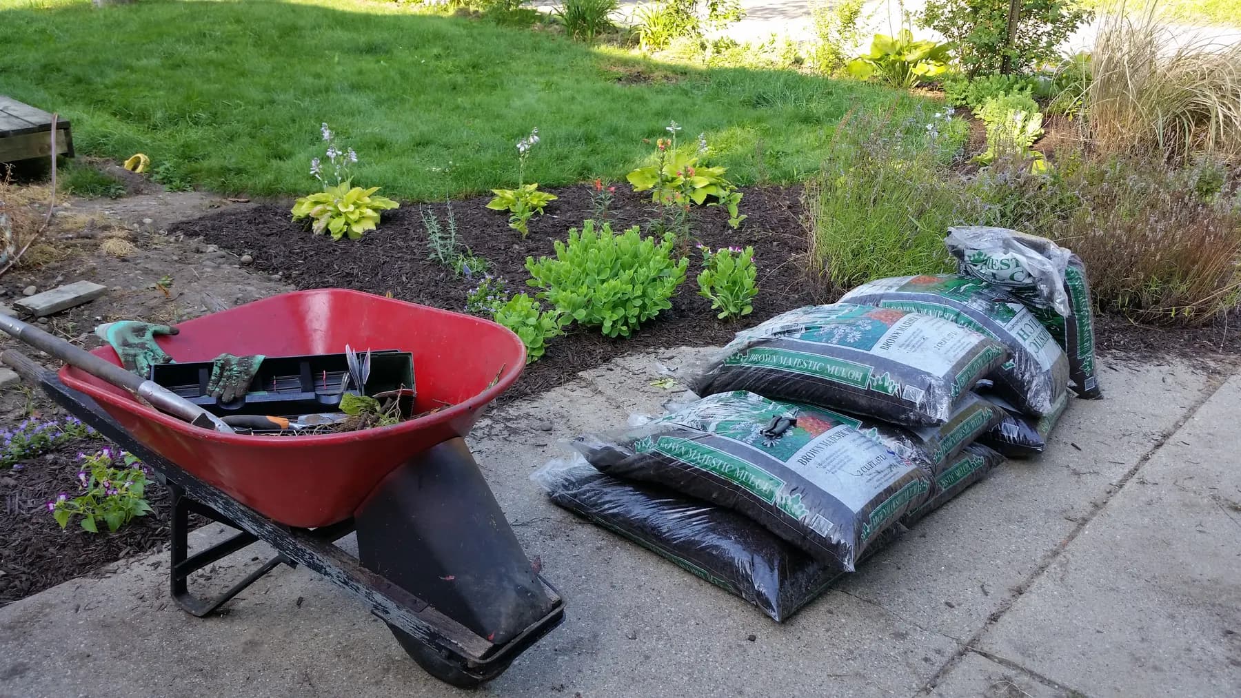 Freshly planted landscape bed with mulch