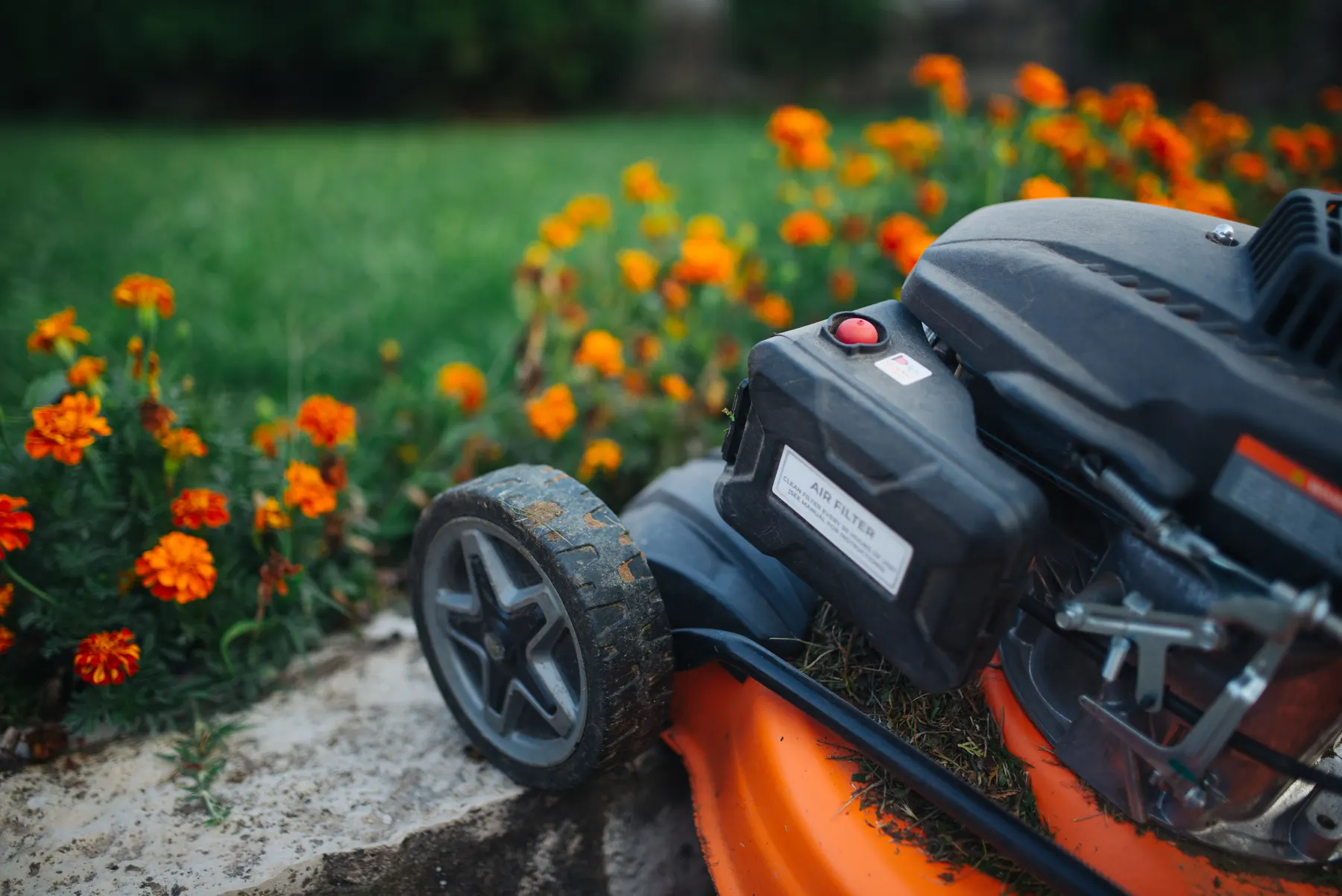 Mulch & Edging